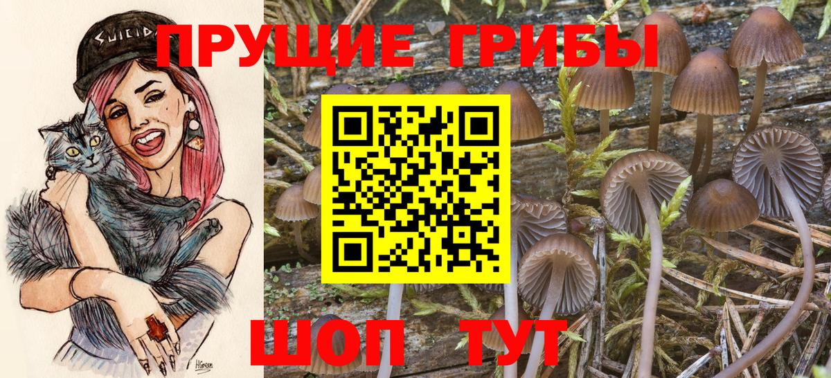 Галлюциногенные грибы мухоморы Коряжма